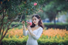 woman-holding-flowers-1308882.jpg