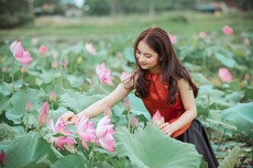 woman-in-red-top-holding-pink-lotus-flower-1322133.jpg
