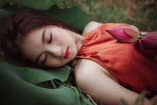 woman-lying-on-green-plant-1322137.jpg
