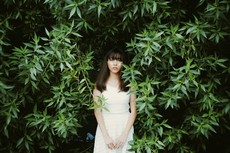 woman-standing-in-front-of-green-leafed-tree-2447791.jpg